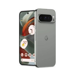 Google Pixel 9 Pro 16Gb/128Gb Лесной Орех