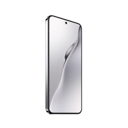 Xiaomi 15 12Gb/512Gb Серебристый Международная версия